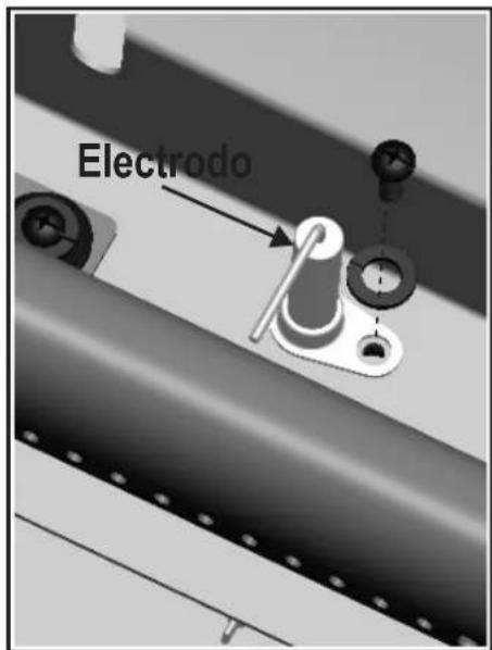 Electrodo