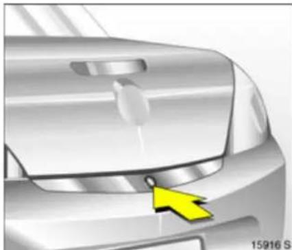 OPEL Tigra TwinTop (2009) - ⚠ Warning - 3