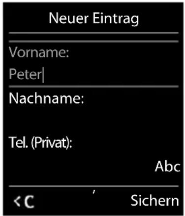 Neuer Eintrag Vorname: Peter| Nachname: Tel. (Privat): Abc
