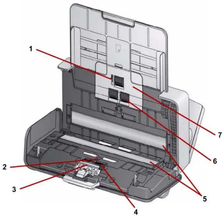 KODAK ScanMate i1180L - Innenansicht - 1