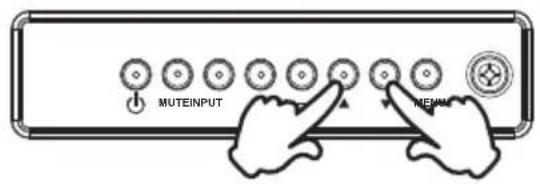 MUTEINPUT MENU