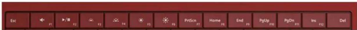 Esc F1 F2 F3 F4 F5 F6 PrtScn F7 Home F8 End F9 PgUp F10 PgDn F11 Ins F12 Del