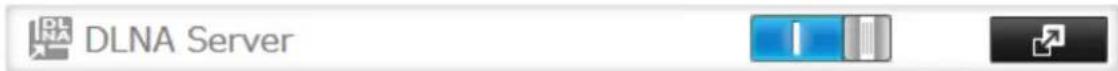 BUFFALO TeraStation 3200D - Click to the right of "DLNA Server". - 1