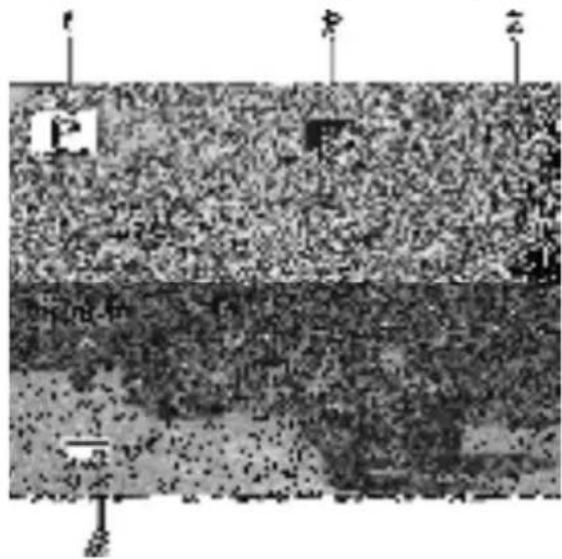Scanned text image with fragmented characters and symbols, possibly from a document or form