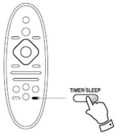 TIMER/SLEEP