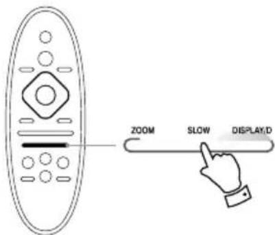 ZOOM SLOW DISPLAY