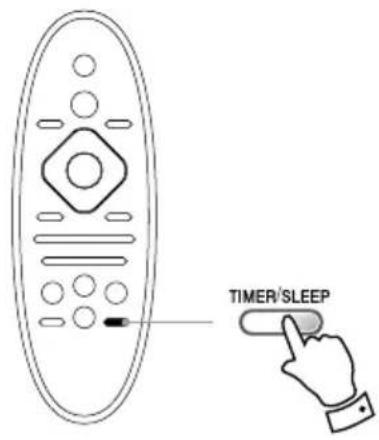 TIMER/SLEEP