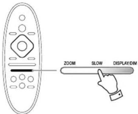 ZOOM SLOW DISPLAY/DIM