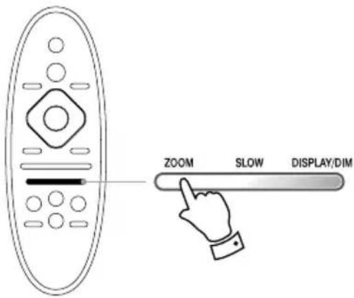 ZOOM SLOW DISPLAY/DIM