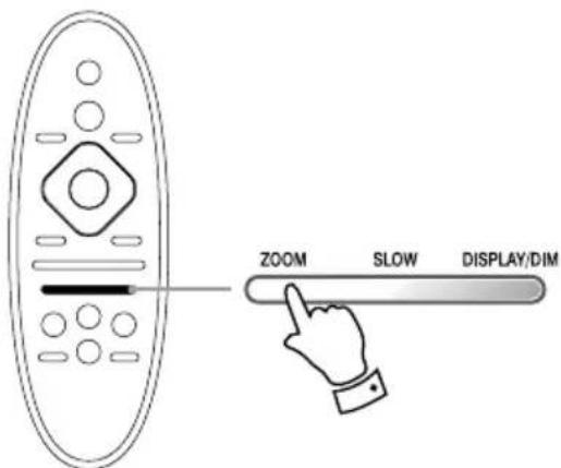 ZOOM SLOW DISPLAY/DIM