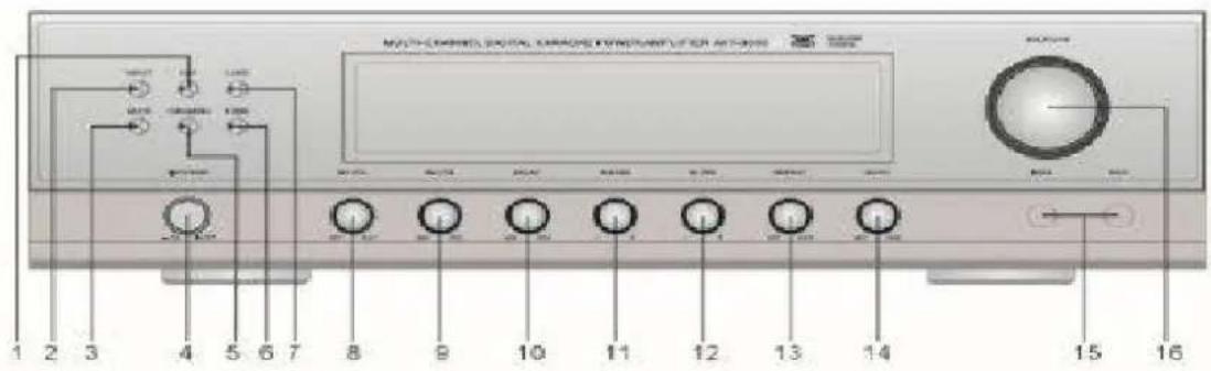 Auna AMP-3800-S - Professionelles digitales Karaoke - 9