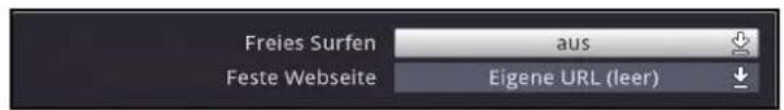 Freies Surfen Feste Webseite aus Eigene URL (leer)