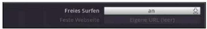 Freies Surfen an Feste Webseite Eigene URL (leer)