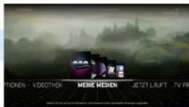 PICKEN - VIDEOTHEX MENIC MEXION JETZI LAUT TV PR