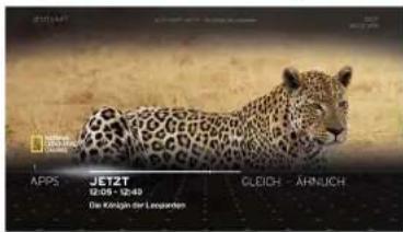 APPS JETZT 12:09 - 12:40 Die König der Leoparten GLEICH ÄHNUCH