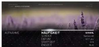 AUFNAHVE HAUFIGKEIT SOMEN DATUM STARTZET ENDZET EINHE Nichtwoff 307,44 19,6 19,6