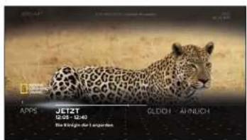 JETZT 12-05 - 12:40 GLODDI - ANNUCH The König der Ilangen