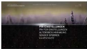 PIN-EINSTELLUNGEN PIN FÜR EINSTELLUNGEN ALTERNESCHRAKNUNG SENDER SPERREN KAUER SCHUTZ