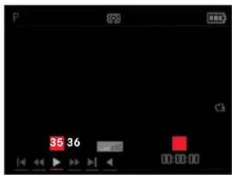 LEICA X-U Typ 113 - In Playback Mode - 3