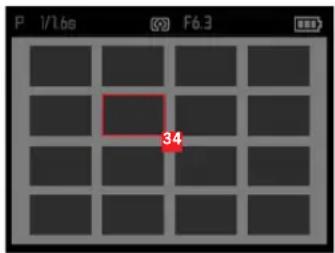 LEICA X-U Typ 113 - In Playback Mode - 2