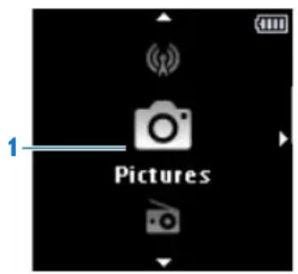 Pictures
