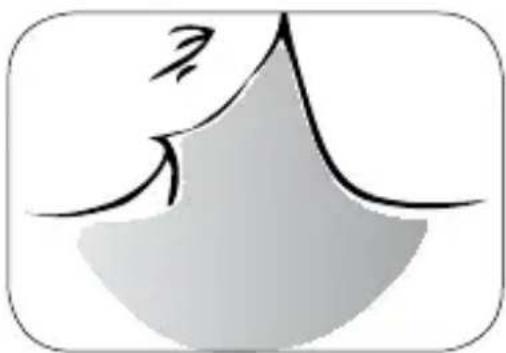 IMETEC Face Cleansing - PT - 5