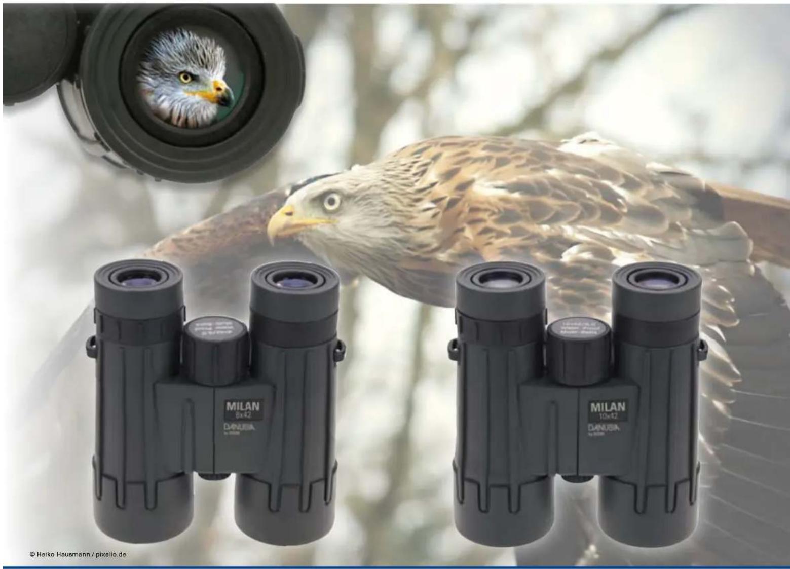 Dörr Orion 200 - Milan Roof Prism Binoculars - 1