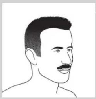 PHILIPS CP9331 - Beard styles - 3