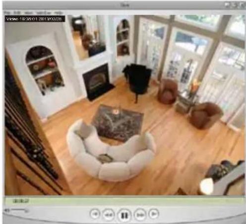 Vivotek VS8100 - RTSP Streaming - 2