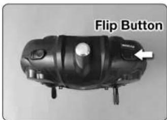 Flip Button