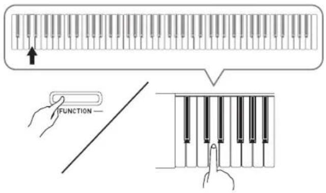 CASIO PX-760BN - WICHTIG! - 1