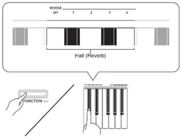 REVERB OFF 1 2 3 4 Hall (Reverb) FUNCTION