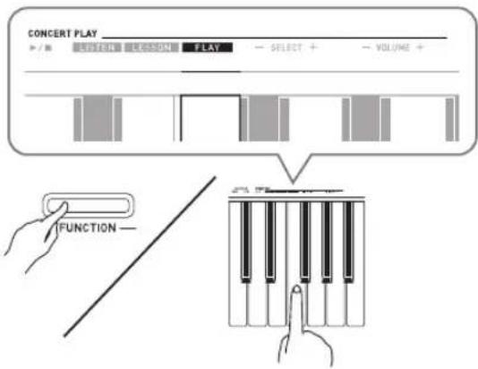CONCERT PLAY + / N FLAY SELECT + VOLUME + FUNCTION