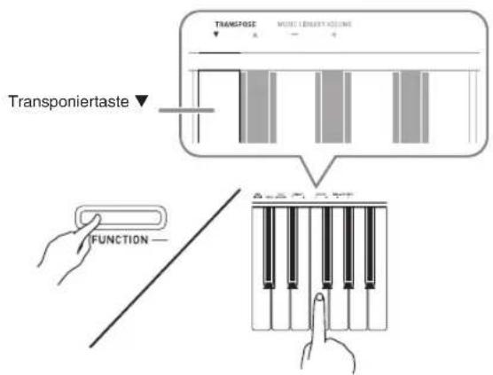 TRANSPOSE MUSIC ENERGY KONING Transponiertaste FUNCTION