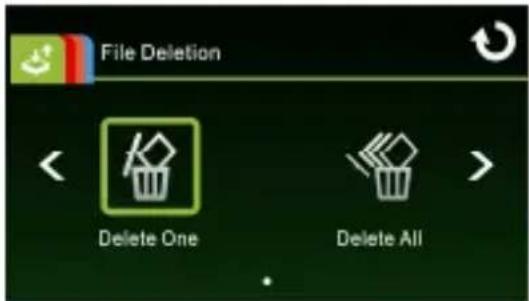 File Deletion Delete One Delete All