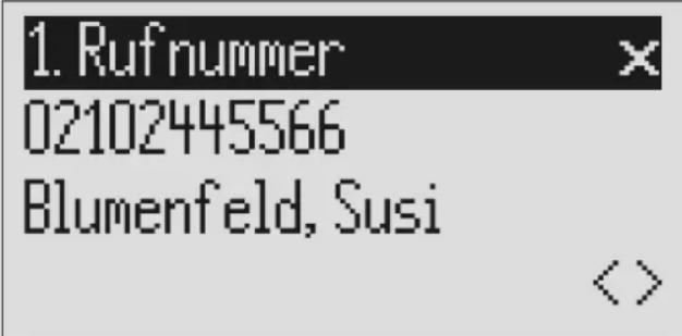 1. Ruf nummer 02102445566 Blumenfeld, Susi <>