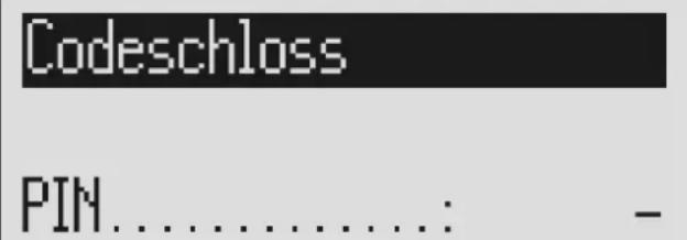 Codeschloss PIN......: -