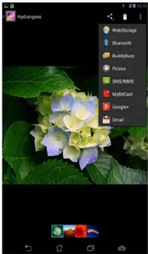 Hydrangeas WebStorage Bluetooth BuddyBuzz Picasa SMS/MMS MyBitCast Google+ Gmail