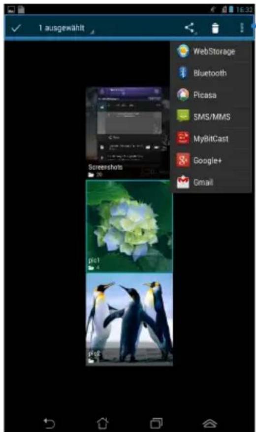 1 ausgewählt Screenshots 20 WebStorage Bluetooth Picasa SMS/MMS MyBitCast Google+ Gmail