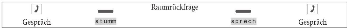 Gespräch Stumm Raumrückfrage sprech Gespräch