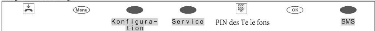 Menu Konfiguration Service PIN des Tele fons OK SMS