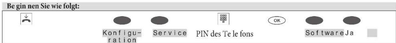 Be gin nen Sie wie folgt: Konfigu- ration Service PIN des 'Te le fons OK Software Ja