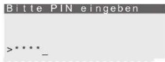 Bitte PIN eingeben >****_ _