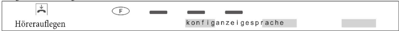 Hörerauflegen F konfiganzeigesprache
