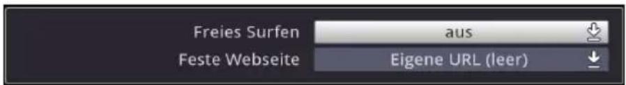 Freies Surfen Feste Webseite aus Eigene URL (leer)