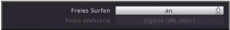 Freies Surfen an Feste Webseite Eigene URL (leer)
