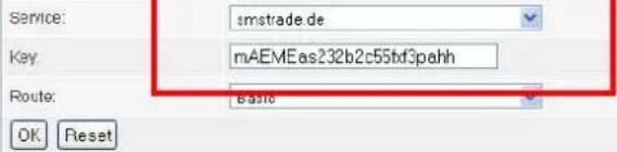 Service: smstrade de Key: mAEMeas232b2c55bf3pahh Route: Basic OK Reset