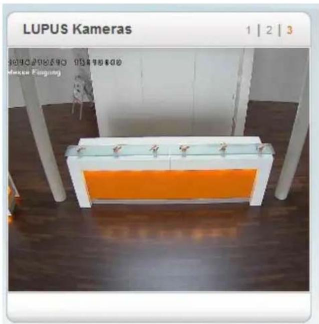 LUPUS Kameras 1 | 2 | 3 3090206590 058795800 Müller Eingang