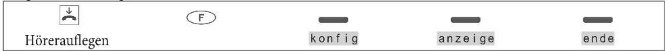 Hörerauflegen F konfig anzeige ende