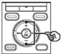 OLYMPUS WS-831 - Drücken Sie auf die +/-Taste, um die Richtcharakteristik des integrierten Stereomikrofons anzupassen. - 1
